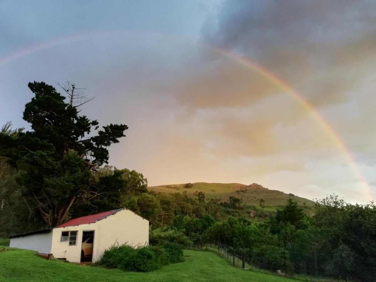 Sheeprun Farmstay Maclear エクステリア 写真