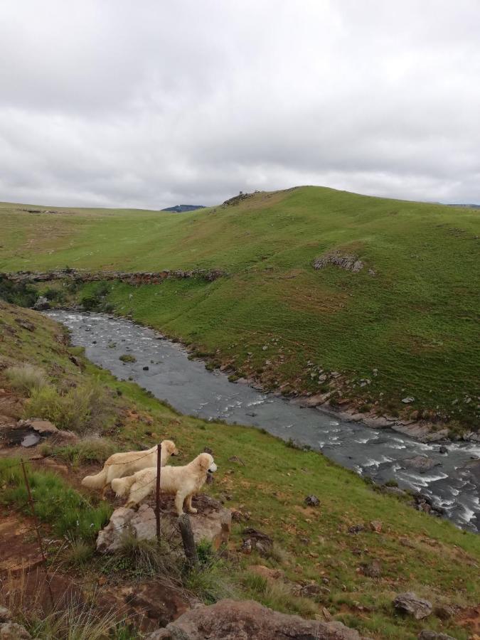 Sheeprun Farmstay Maclear エクステリア 写真