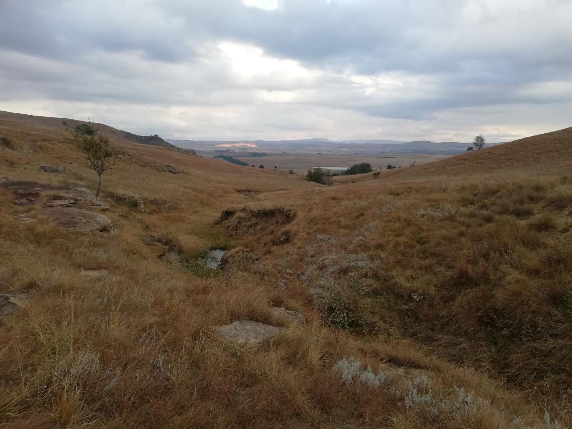 Sheeprun Farmstay Maclear エクステリア 写真