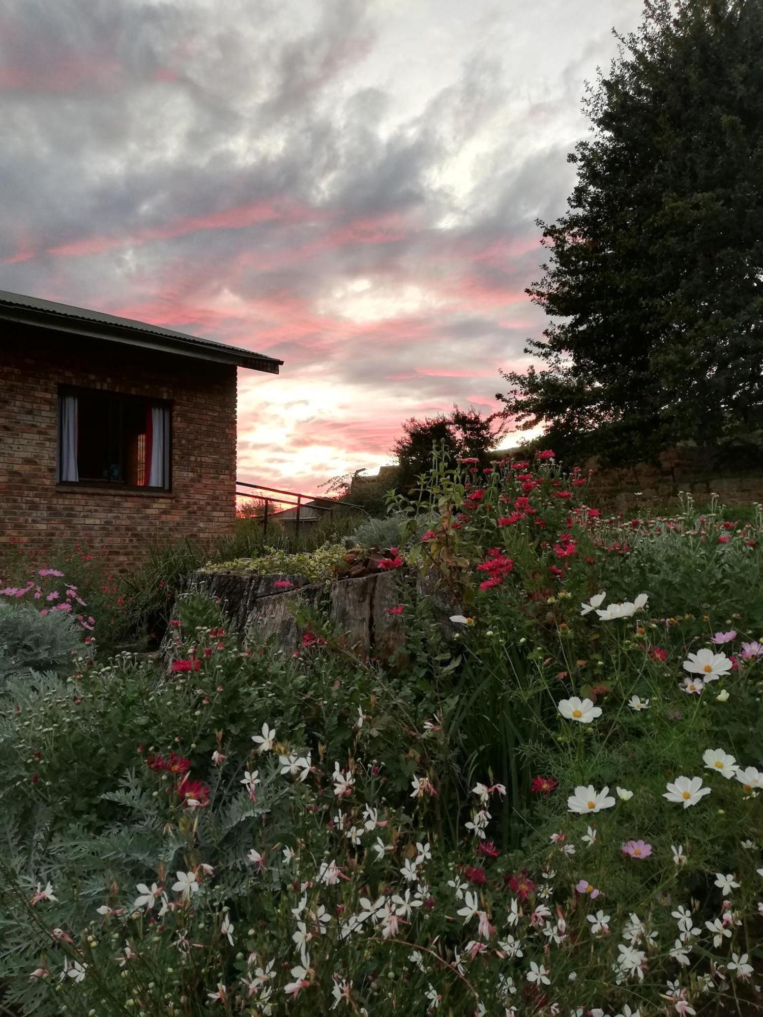 Sheeprun Farmstay Maclear エクステリア 写真